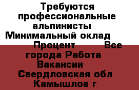 Требуются профессиональные альпинисты. › Минимальный оклад ­ 90 000 › Процент ­ 20 - Все города Работа » Вакансии   . Свердловская обл.,Камышлов г.